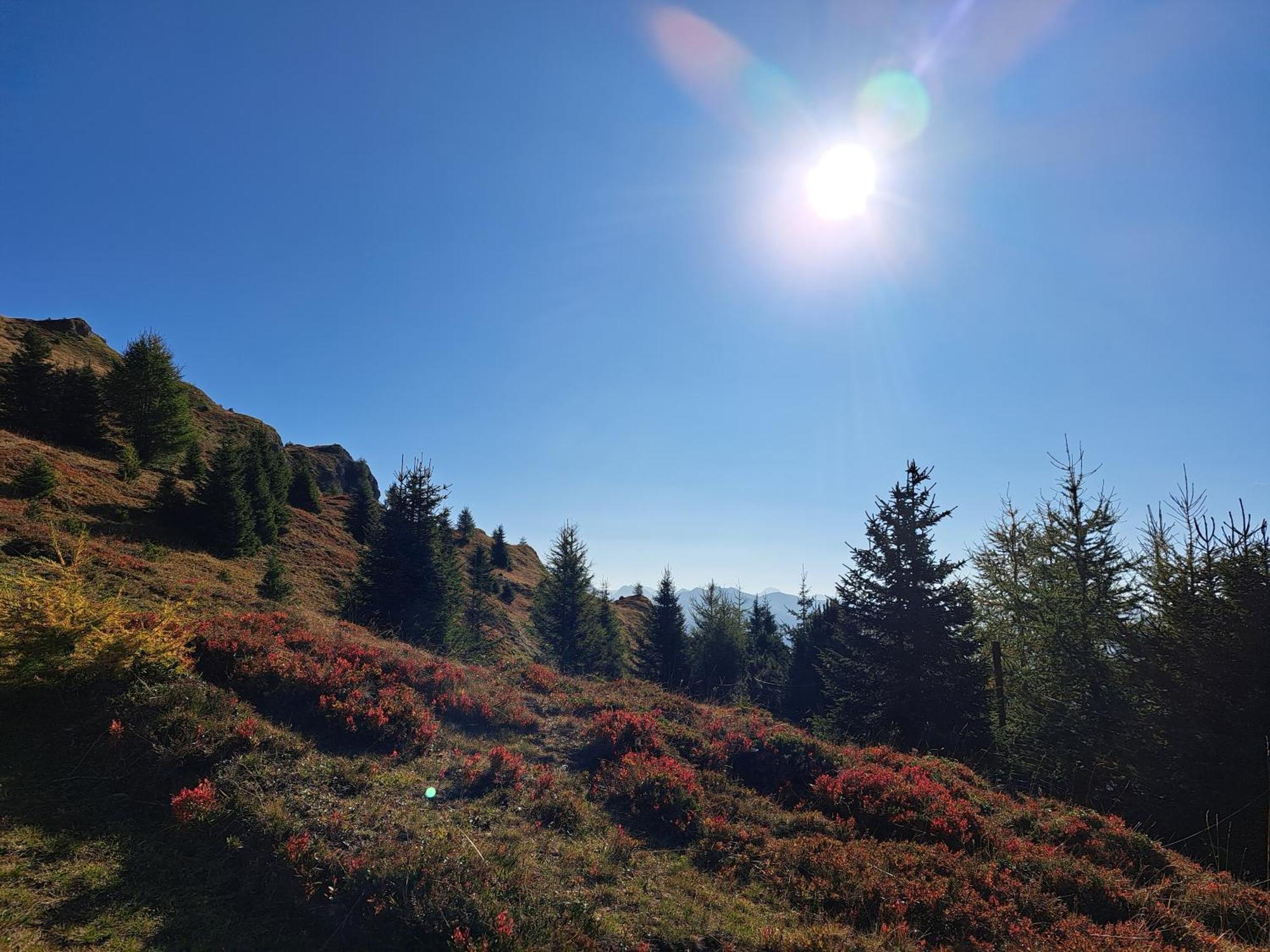 Apart Am Brunnen Ried im Oberinntal Exteriér fotografie