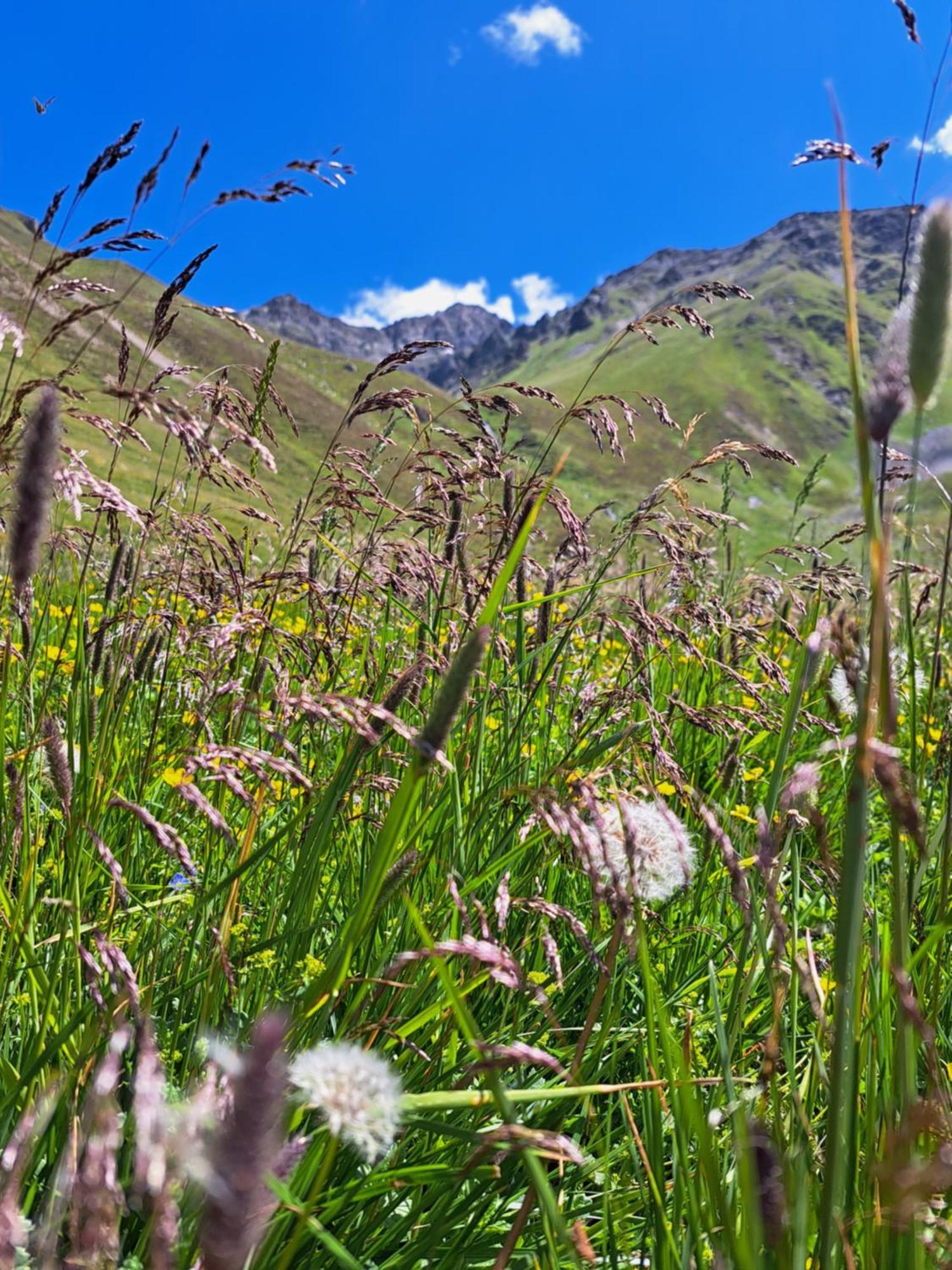 Apart Am Brunnen Ried im Oberinntal Exteriér fotografie