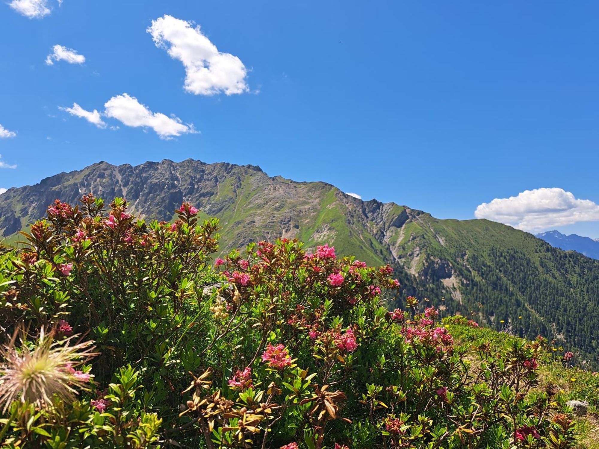 Apart Am Brunnen Ried im Oberinntal Exteriér fotografie