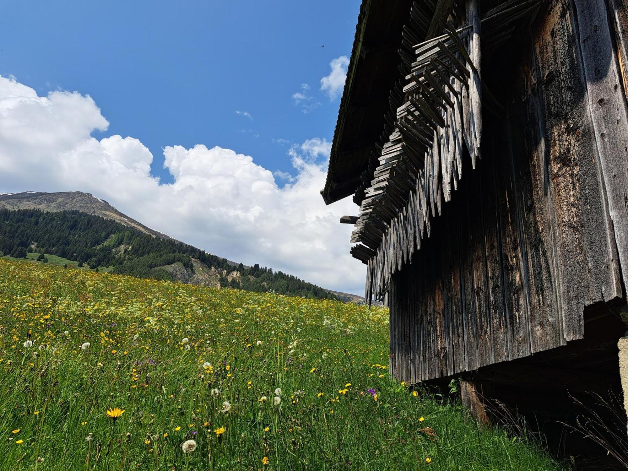 Apart Am Brunnen Ried im Oberinntal Exteriér fotografie