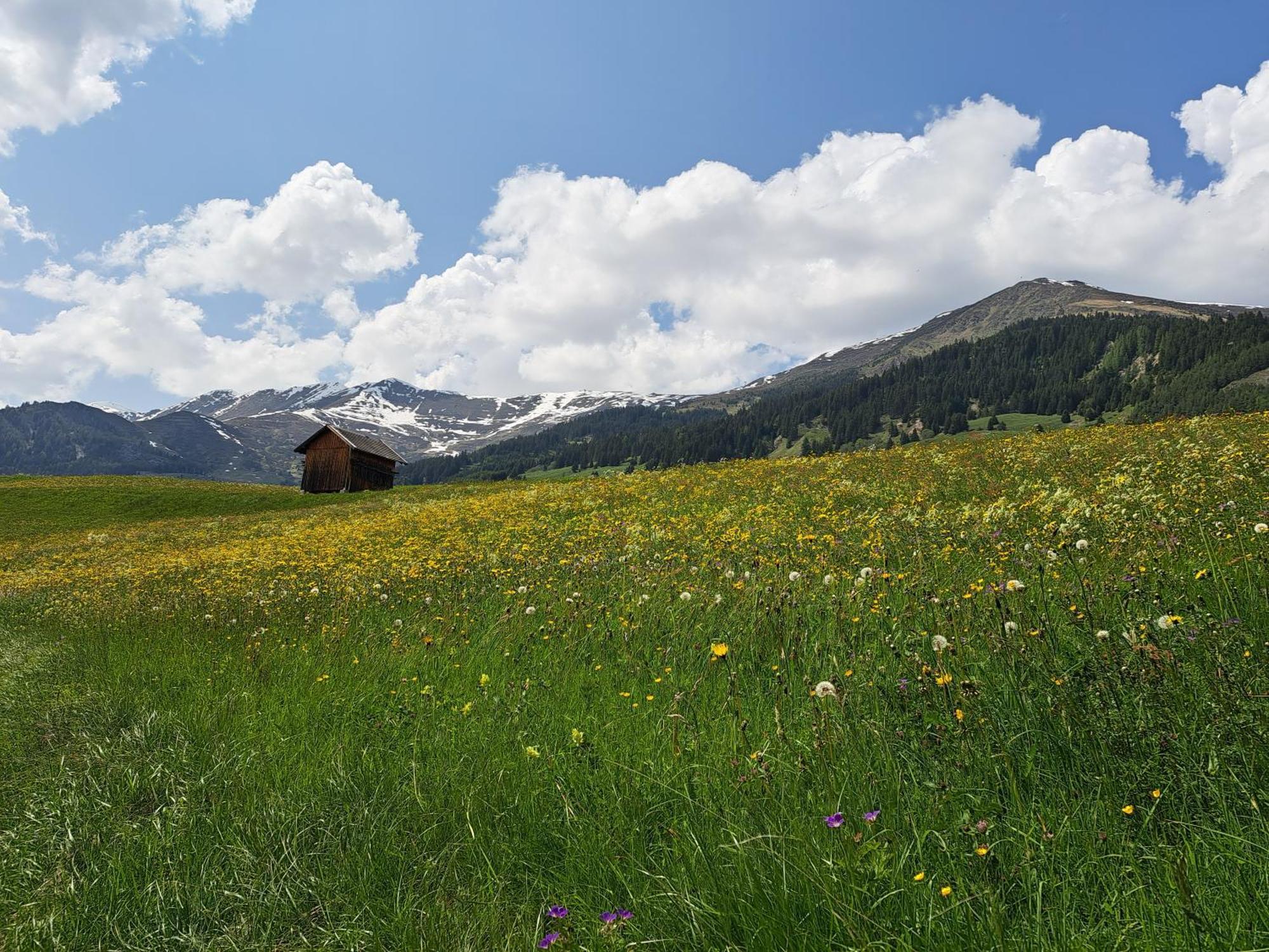 Apart Am Brunnen Ried im Oberinntal Exteriér fotografie